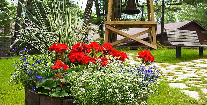 Spring at Camp Barakel