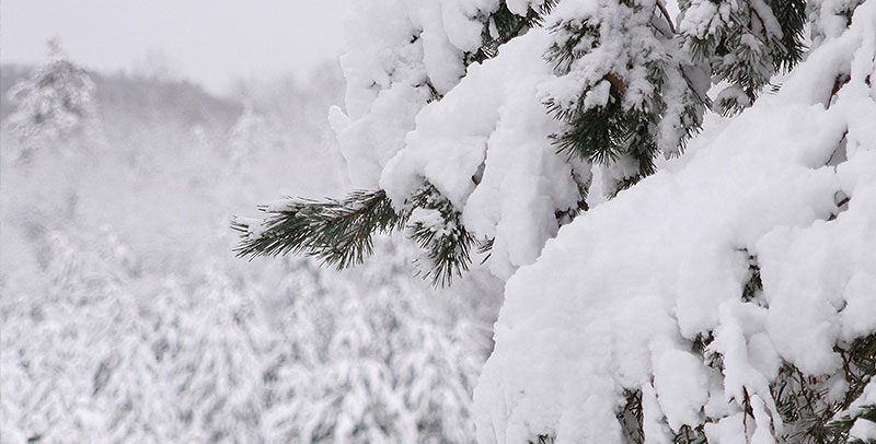 Winter at Camp Barakel